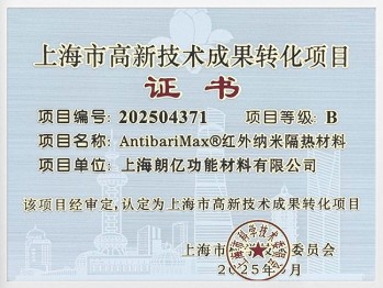 2025上海市高新技术成果转化项目